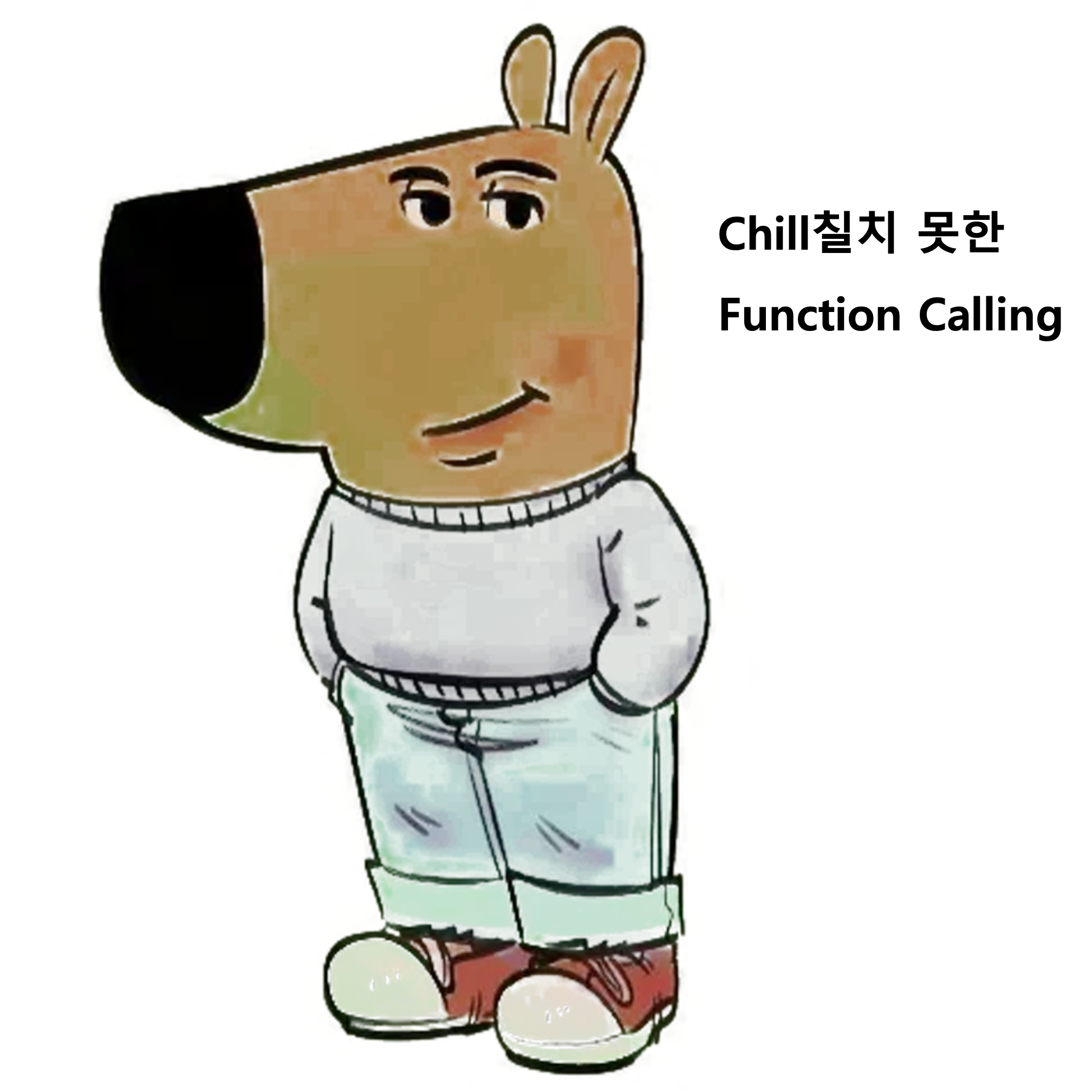 Chill칠치 못한 Function Calling